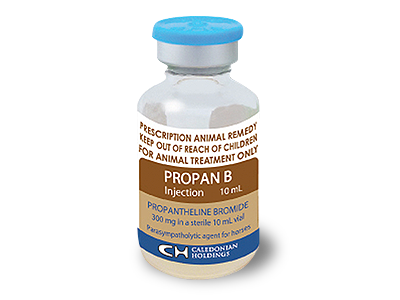 Propan B Injection