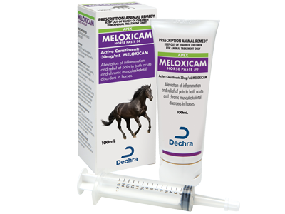 Apex Meloxicam Horse Paste