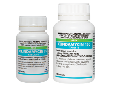 Dechra Veterinary Products NZ, Apex Clindamycin Tablets