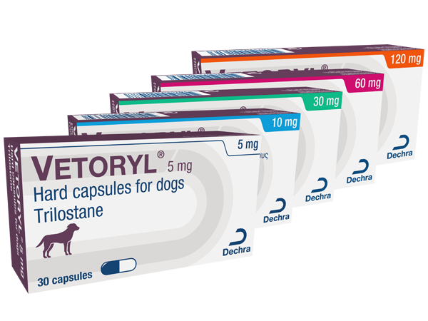 Vetoryl Dechra Veterinary Products NZ