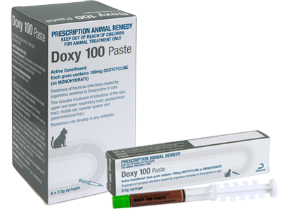 Doxy-100-Paste_400x300