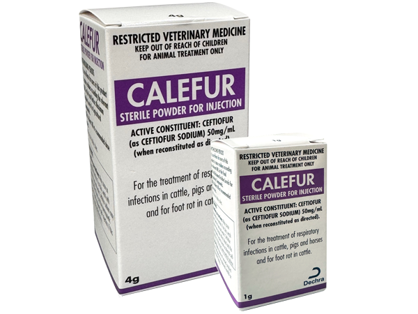 Calefur
