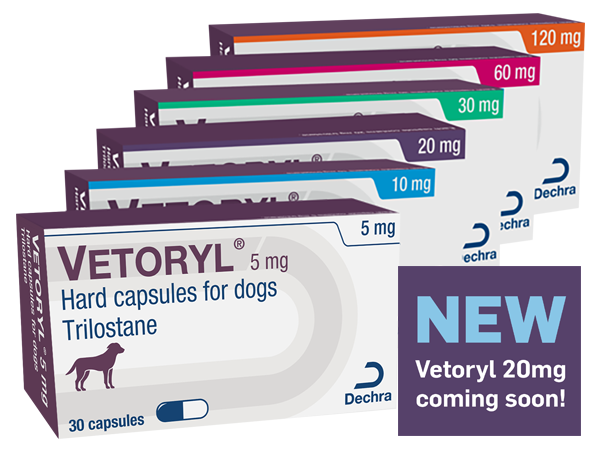 Dechra Veterinary Products NZ, Vetoryl